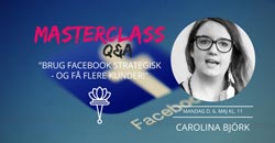 Netværksmasterclass Carolina Bjørk